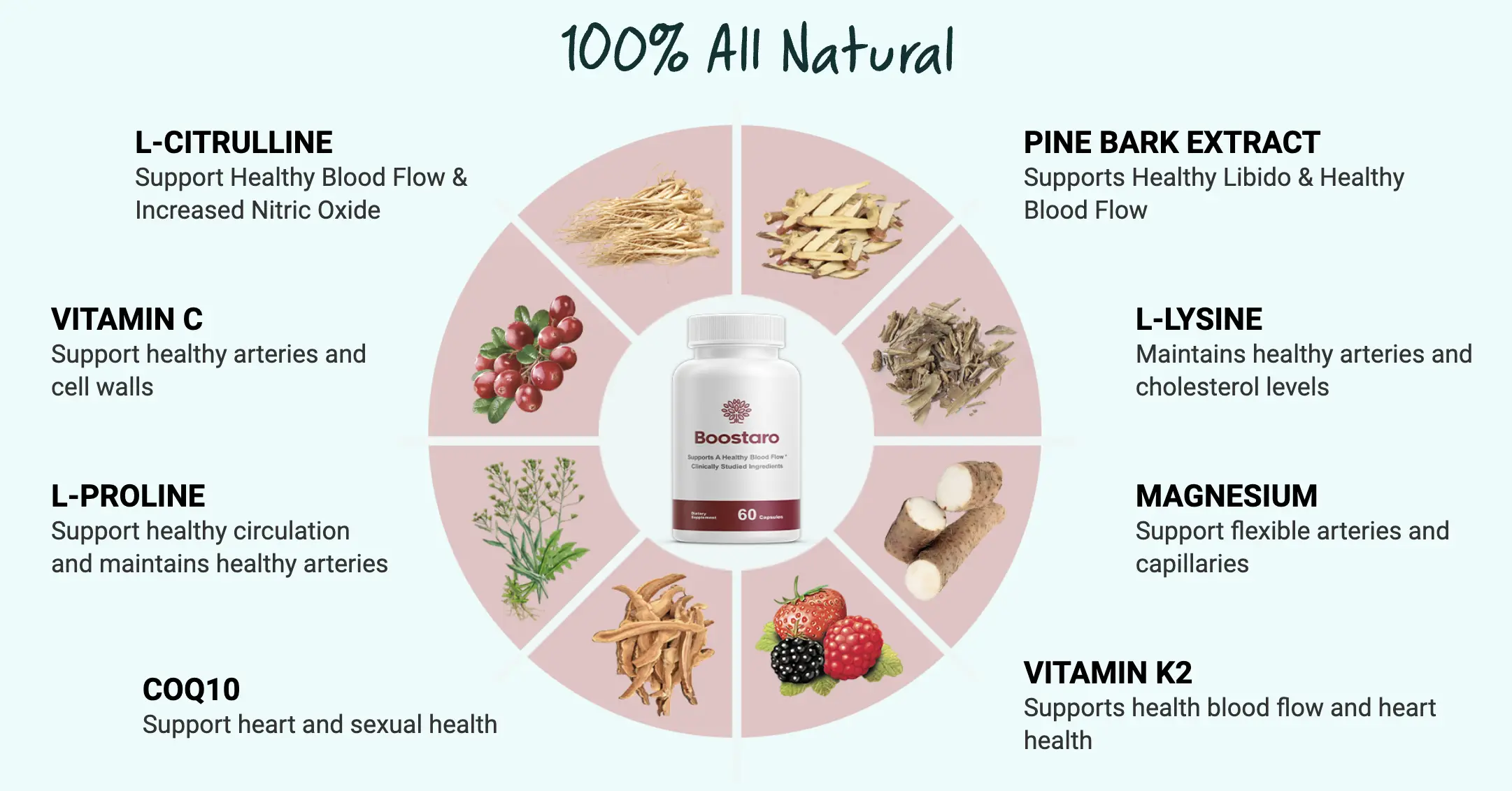 boostaro ingredients combine image